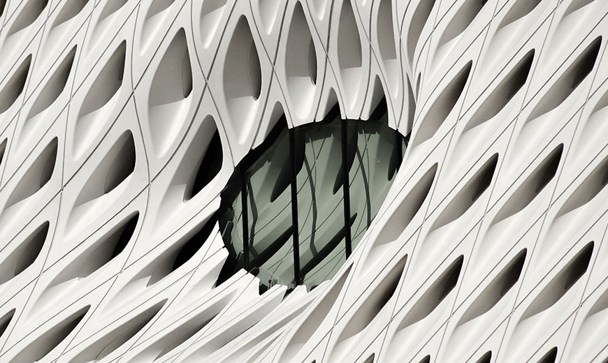 Interior designers biophilia